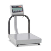 200 lb receiving bench scale