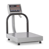 100 lb receiving bench scale
