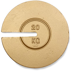 Weight 2P CI Slot 20kg CL6 Non-Accrd TR