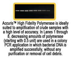 Accuris High Fidelity DNA Polymerase