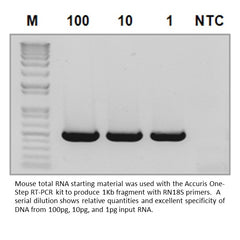 Accuris One-Step RT-PCR kit, 50 reactions