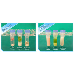 BeadBlaster 24 Microtube Homogenizer, 115V