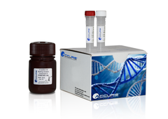 High Sensitivity dsDNA Quantification Kit, 100 assays
