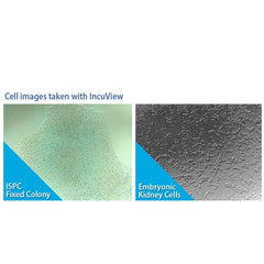 SureTherm™ CO? Incubator Series with IncuView™ LCI