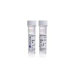 Accuris High Fidelity DNA Polymerase