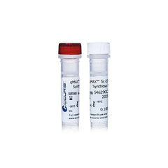 Accuris qMax cDNA Synthesis Kit, sample