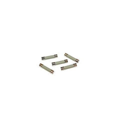 Fuse, Time Delay, Glass, 1/10 Amp, 250 Volt; Pkg of 5