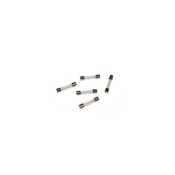 Fuse, Time Delay, Glass, 5 Amp, 250 Volt; Pkg of 5
