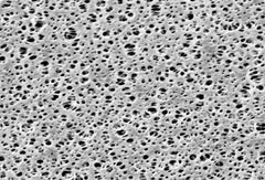 Polyethersulfone Membrane Filters - Type 15407- 0.2 µm pore size- 47 mm diameter- 100 pieces per pack