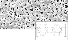 Regenerated Cellulose Membrane Filters / Type 18406, 0.45 µm pore size, 13 mm diameter, 100 pieces per pack