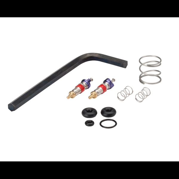 Syringe Repair Kit, Valve Core, Quick Clean
