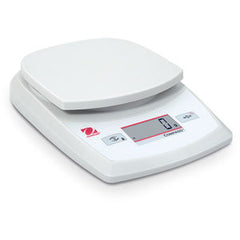 Portable Balance CR2200