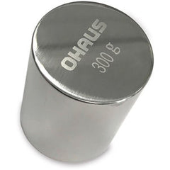 Weight 300g F2 SUS304 Scout