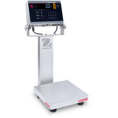 Bench Scale i-D61XWE2WQS6