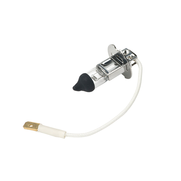 Belmont Clesta Light Bulb 24V 60W Black Tip