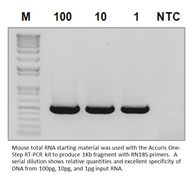 Accuris One-Step RT-PCR kit, 50 reactions