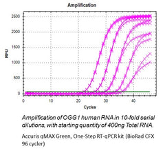 Accuris qMAX Green One-Step RT-qPCR Kit, No Rox, 100 reactions