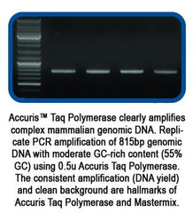 AccurisTaq DNA Polymerase 500u (5u/µl)