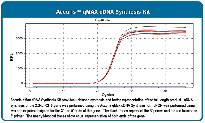 Accuris qMax cDNA Synthesis Kit, sample