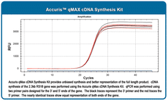Accuris qMax cDNA Synthesis Kit, sample