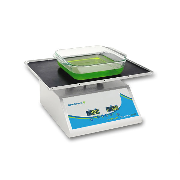 Everlast™ Rocker with Variable Speed and flat mat