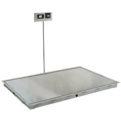 Solace In-Floor Dialysis Scales