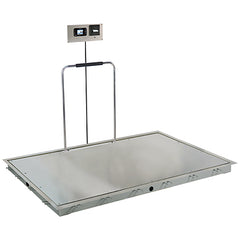 Solace In-Floor Dialysis Scales