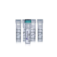 AccurisTaq DNA Polymerase 500u (5u/µl)