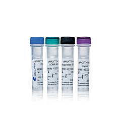 Accuris qMax cDNA Synthesis Kit, sample