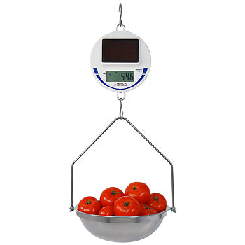 SCS30 Solar Hanging Scale