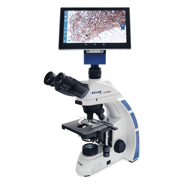 VE-300PAD Digital Microscope with Integrate tablet