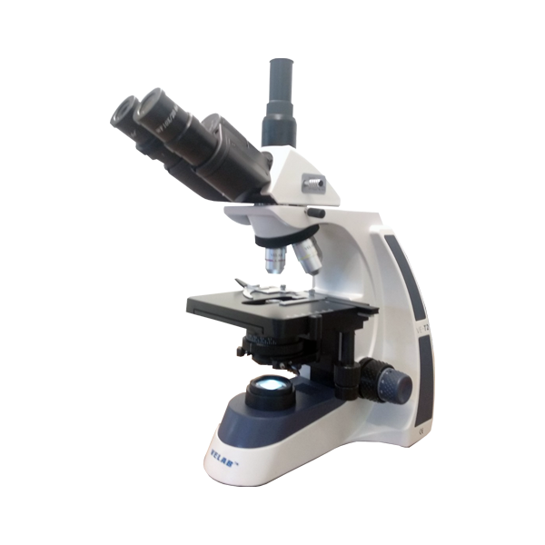 VE-T2 Trinocular Microscope