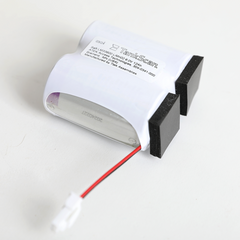 TankScan® Battery Replacement TSM1000 (2 D Lithium)
