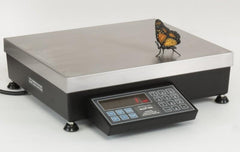 Pennsylvania Scale Company 7600-150 EO, 150 x 0.02 lb, Standard 7600 Count Weigh Scale With Ethernet Option - 4 Year Warranty