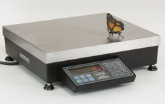 Pennsylvania Scale Company 7600-5 DB, 5 x 0.0005 lb, Standard 7600 Count Weigh Scale With Dual Base Input Option - 4 Year Warranty