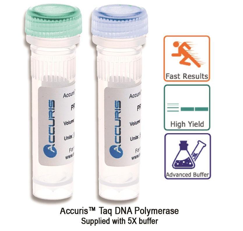 Accuris PR1000-500 Taq Polymerase, 500 units