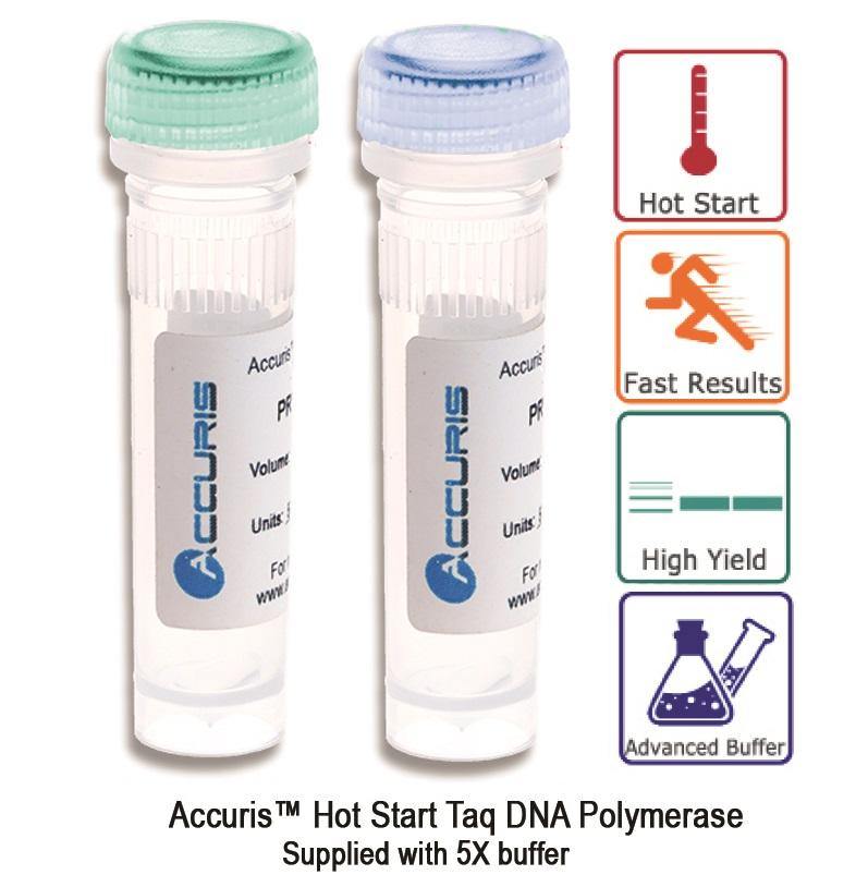 Accuris PR1000-HS-6000 Hot Start Taq, 6000 units