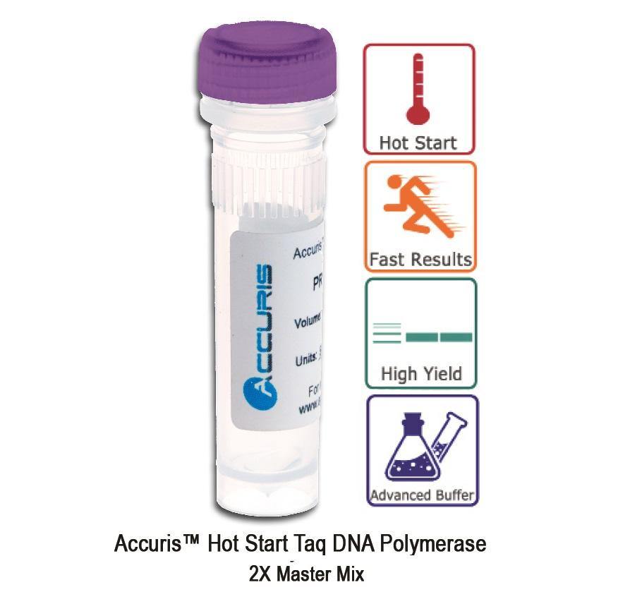 Accuris PR1001-HS-200 Hot Start Taq Master Mix, 2X conc., 200 reactions