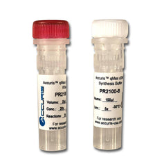 Accuris PR2100-C-250 qMax cDNA Synthesis Kit, 250 reactions