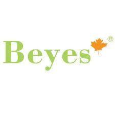 Beyes PPS123, Touch Control Display Panel