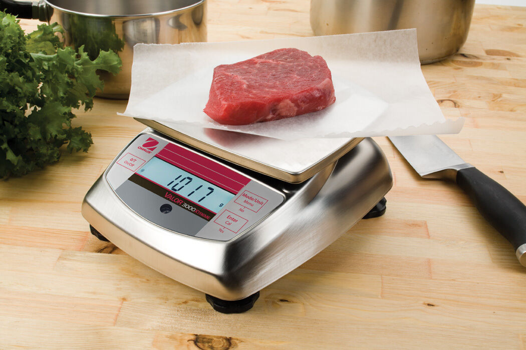 OHAUS VALOR V31XH2 2000g 0.1g STAINLESS STEEL COMPACT PRECISION FOOD SCALE WRNTY