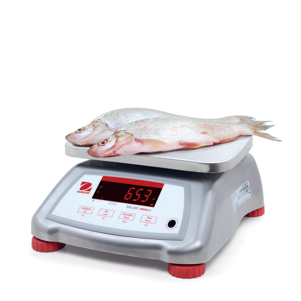 OHAUS VALOR V41XWE15T 15kg 2g WATER RESISTANT COMPACT FOOD SCALE 2YWRRNTY NTEP